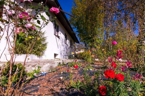 Villa Casa Din Deal