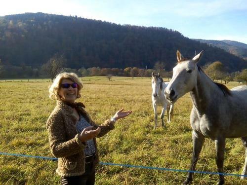 Bed & Breakfast Les Arts Verts