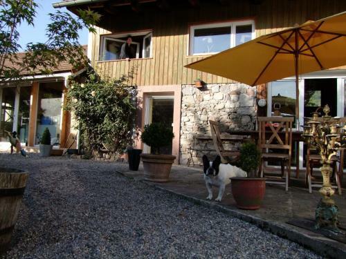 Bed & Breakfast Les Arts Verts