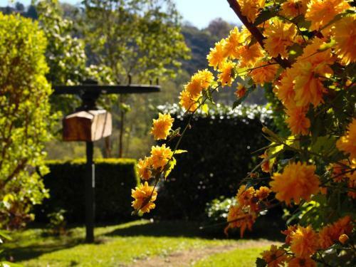 B&B Ermitage Saint Vincent