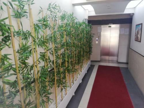Apartamento Melih Residence &suite's