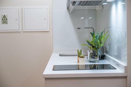 Apartamento Urban Paradise By Madeira Sun Travel