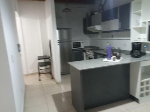 Apartamento Departamento Terrazas Dorrego