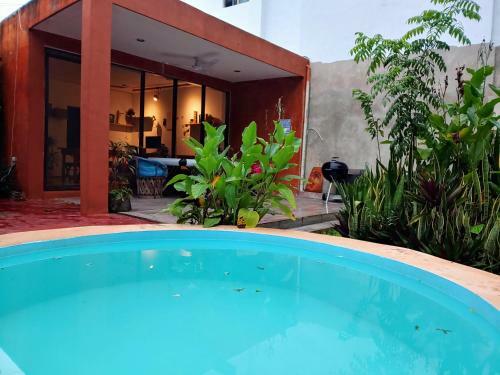 Albergue Cosmic Garden