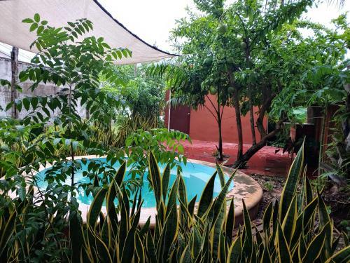Albergue Cosmic Garden