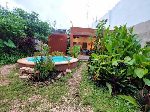 Albergue Cosmic Garden