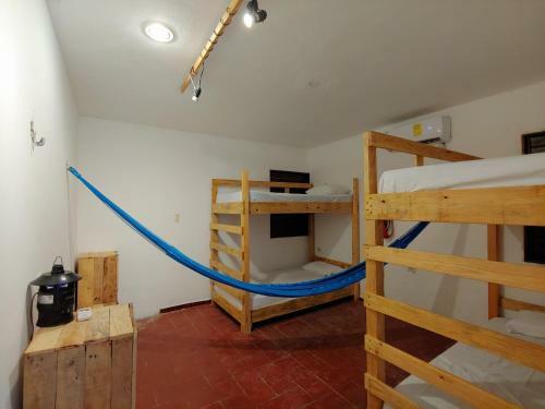 Albergue Cosmic Garden
