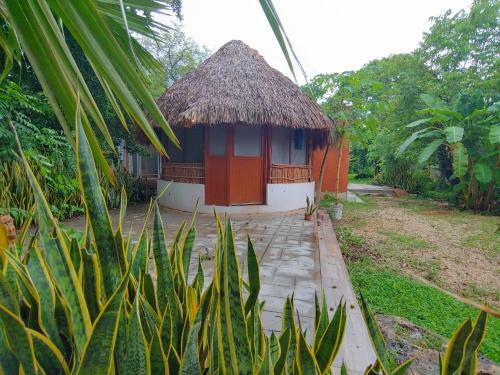 Albergue Cosmic Garden