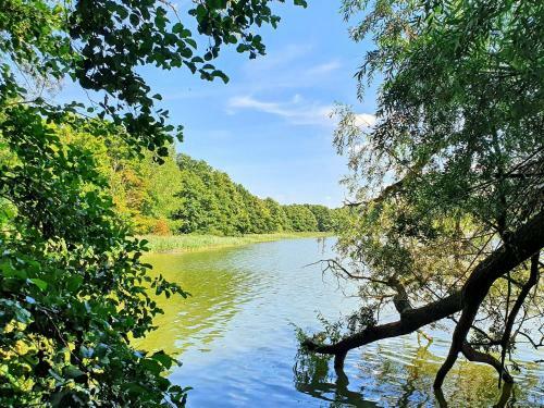 Apartamento Ferienwohnung Dabel West 381
