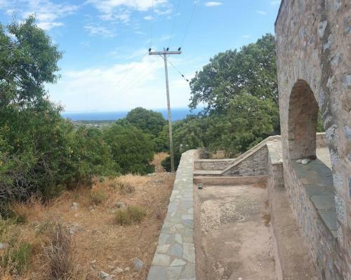 Stone & Sea Lagia