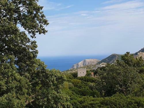 Stone & Sea Lagia