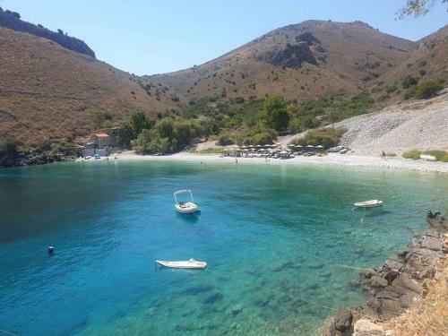 Stone & Sea Lagia