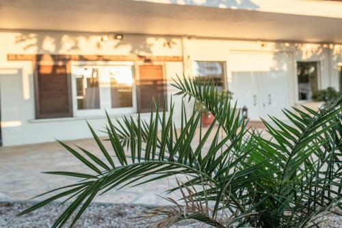 Villa Rafia With Nice Garden Right By The Beach