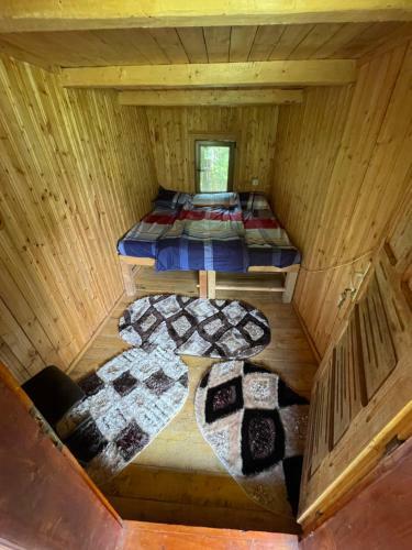 Cabana Trei Paltini