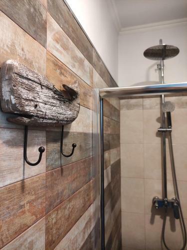 Caruma Surf Hostel & Suites