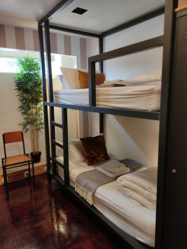 Caruma Surf Hostel & Suites