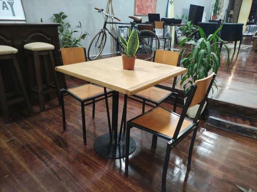Caruma Surf Hostel & Suites