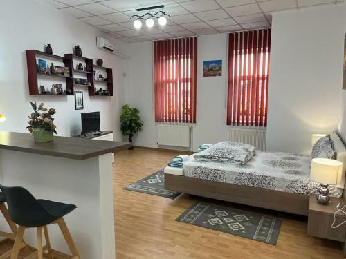 Apartamento Panorama Studio Sighisoara
