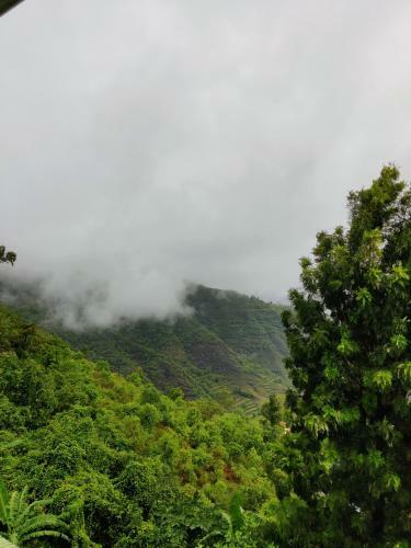 Hotel Gawde Residency Mahabaleshwar