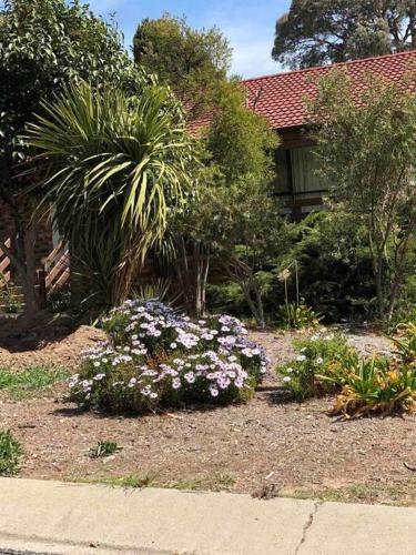 Apartamento Hawker 4br House ?air-con, Wifi, Netflix, Parking?