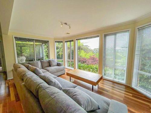 Blue Mountain's Charm / Wentworth Falls