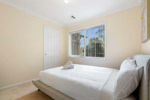 Blue Mountain's Charm / Wentworth Falls