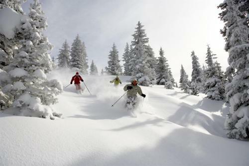 Apartamento Grand Hyatt Vail Hotel Room With 2 Queens