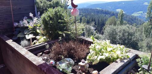 Apartamento Almblick In Ruhiger Lage