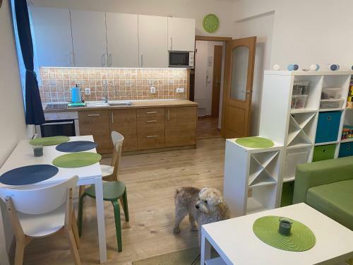 Apartm�n Meluz�na