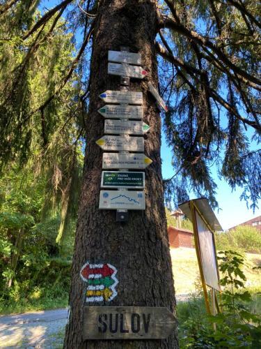 Apartm�n Meluz�na