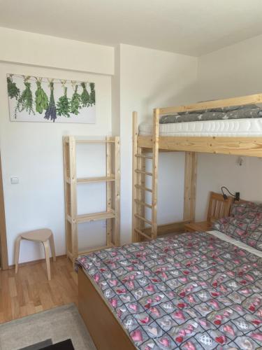 Apartm�n Meluz�na