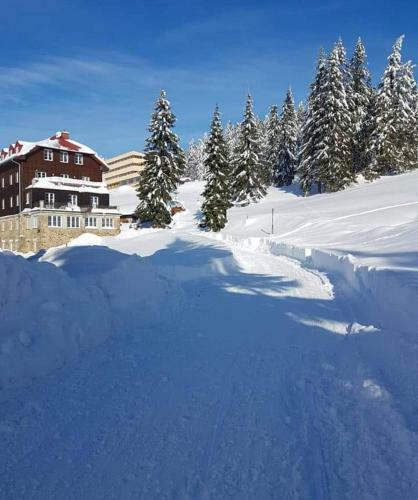 Apartm�n Meluz�na