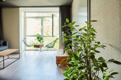Design Apartment - Zentral - Parken