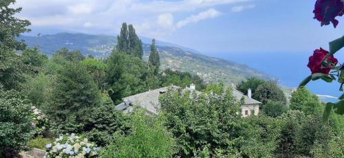 Kiki's_view