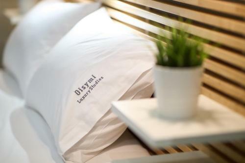Apartamento Oisymi Luxury Studios