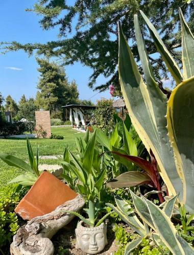 Eden Apartment Paliouri With Private Backyard Garden