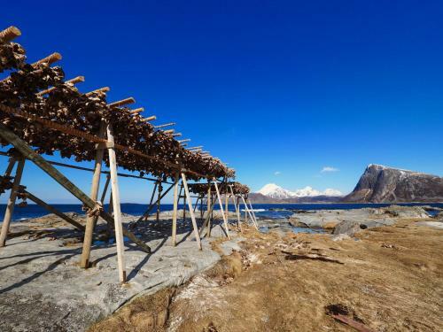 Villa Lofoten 360 Panorama
