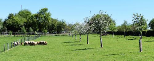 Gites-clairiere-ardenne