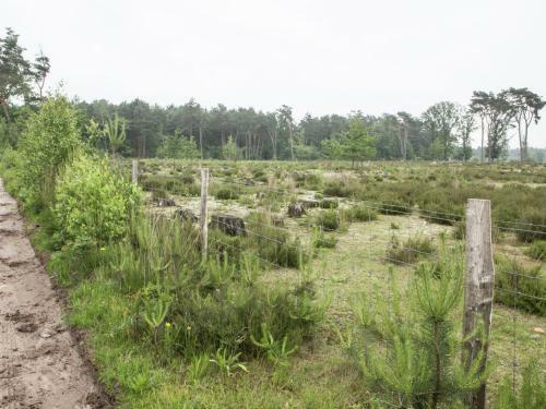 Holiday Home Dopheide Oudturnhout