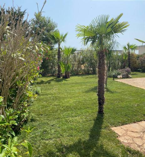 Villa Paz - Colle Azzurra