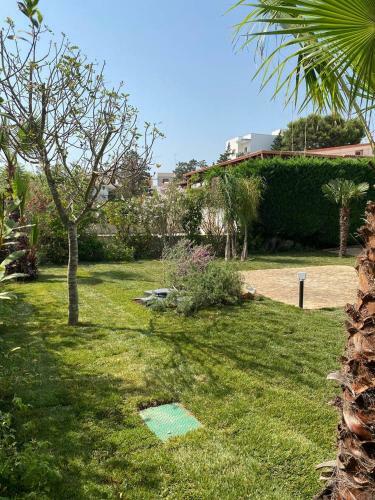Villa Paz - Colle Azzurra