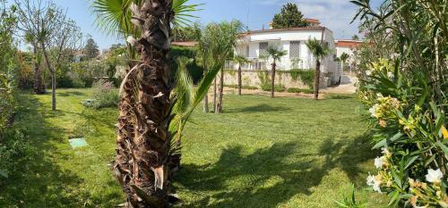 Villa Paz - Colle Azzurra
