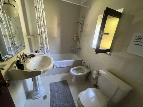 Villa Moradia De Luxo Com Piscina E Jardim