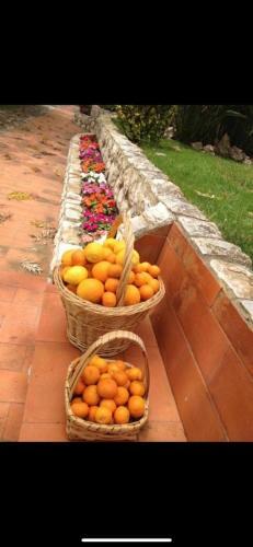 Villa Moradia De Luxo Com Piscina E Jardim