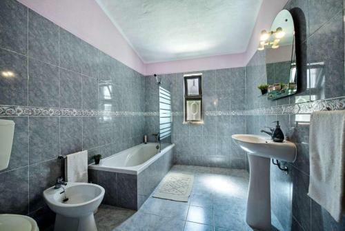 Villa Amizade