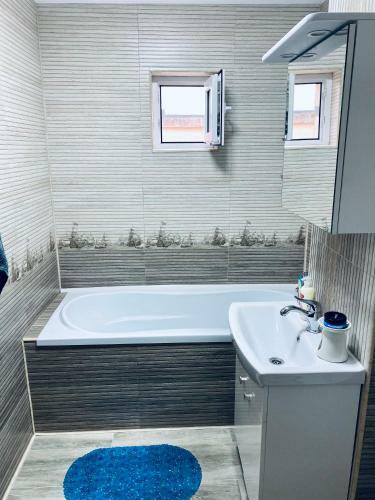 Apartament Buz?u Central