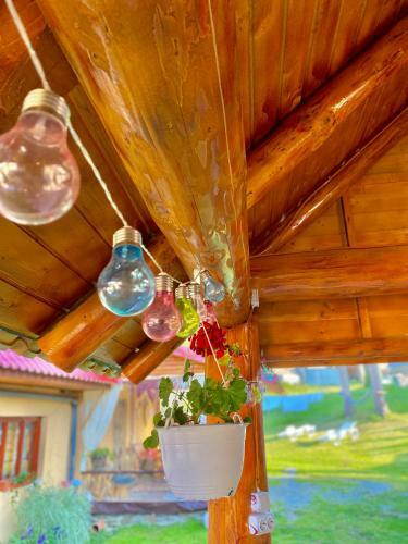 Hostal Cabana Ancu?a