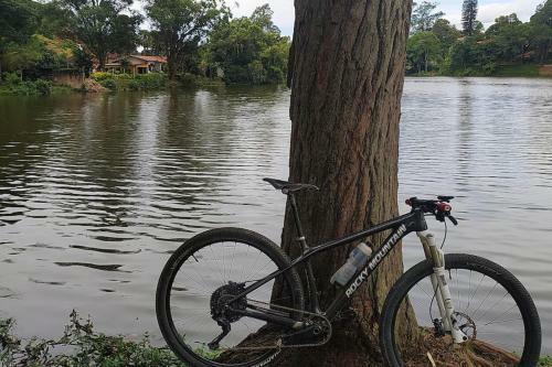Chal� Pedal Lago Javary