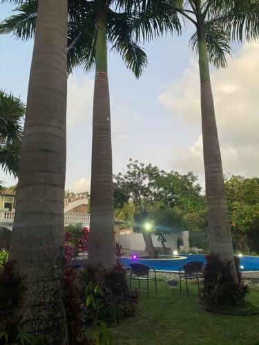 Kuara Hostel