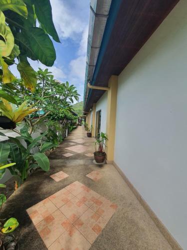 Baan Muchshima Hostel Phuket